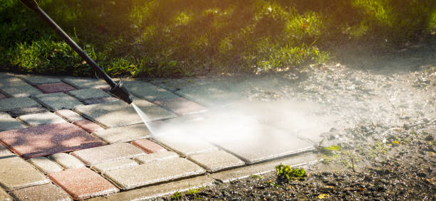 Best Roof Washing  in Bourg, LA